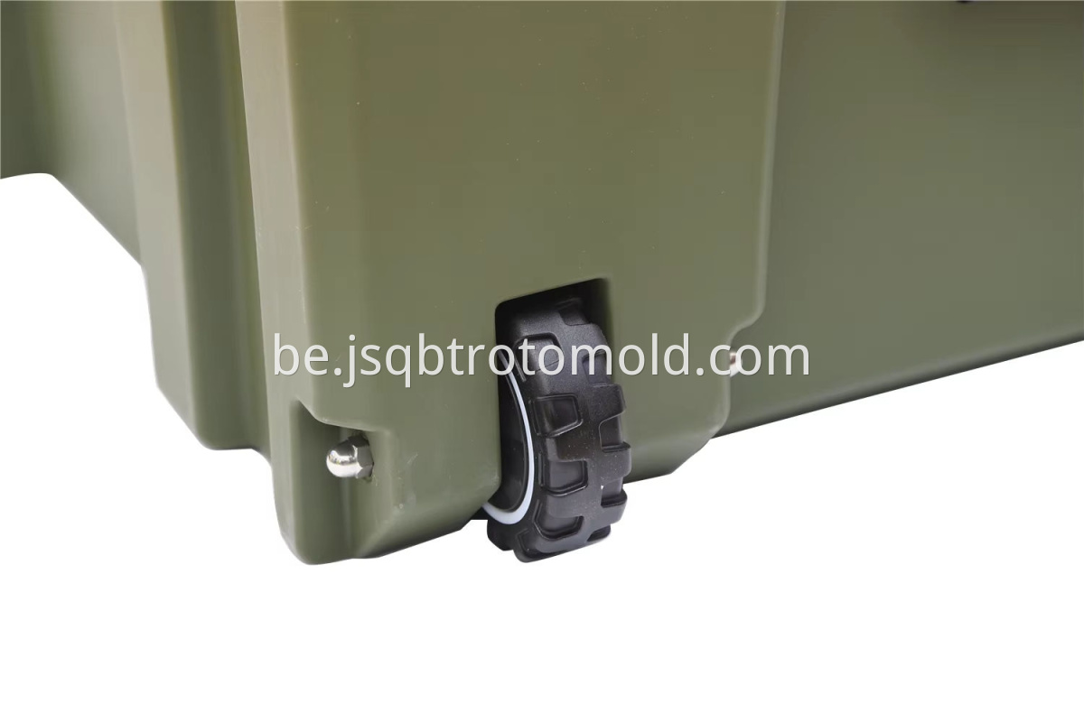 case (4)